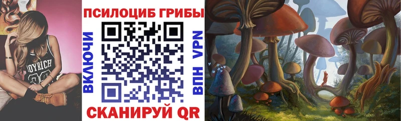 цены наркотик  Ардон  Псилоцибиновые грибы мухоморы 